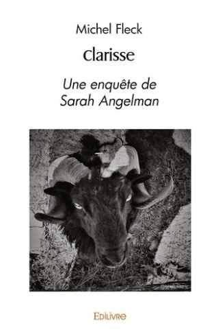 fleck-michel-clarisse-une-enquete-de-sarah-angelman_0