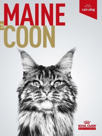 frances-herve-lapalu-maud-pommier-sandrine-le-maine-coon_0