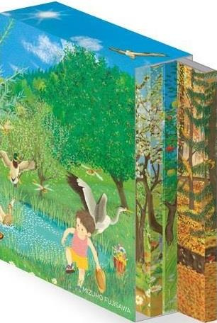 fujisawa-mizuho-saisons-coffret-de-4-livres-accordeons_0