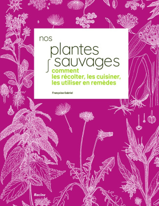 gabriel-francoise-nos-plantes-sauvages-comment-les-recolter-les-cuisiner-et-les-utiliser-en-remedes_0