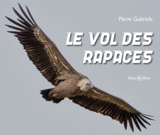 gabriele-pierre-le-vol-des-rapaces_0