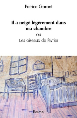 garant-patrice-il-a-neige-legerement-dans-ma-chambre-ou-les-oiseaux-de-fevrier_0