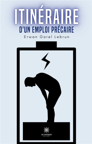 garel-lebrun-erwan-itineraire-d-un-emploi-precaire_0