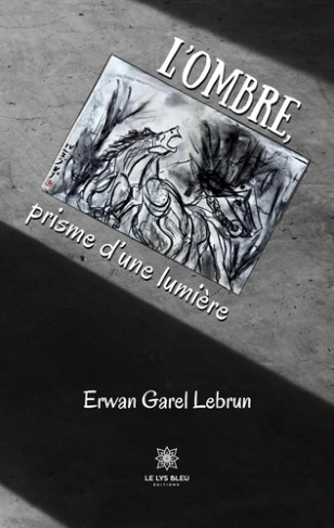 garel-lebrun-erwan-l-ombre-prisme-d-une-lumiere_0