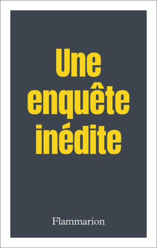 gattegno-herve-l-affaire-greenpeace_0