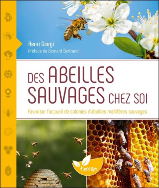 giorgi-henri-des-abeilles-sauvages-chez-soi-favoriser-l-accueil-de-colonies-d-abeilles-melliferes-sauvages_0