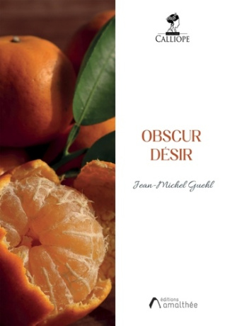 guehl-jean-michel-obscur-desir_0