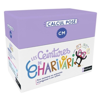 guichard-delphine-les-ceintures-de-charivari-cm-calcul-pose_0