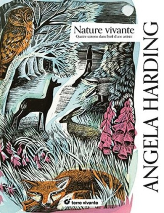 harding-angela-nature-vivante_0