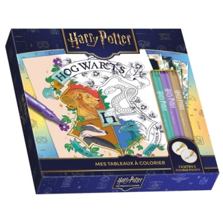 harry-potter-mes-tableaux-a-colorier-avec-3-feutres-brillants_0