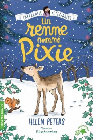 helen-peters-a-reindeer-called-joy_0