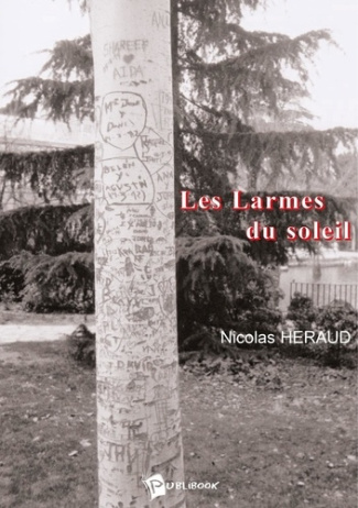 heraud-nicolas-les-larmes-du-soleil_0