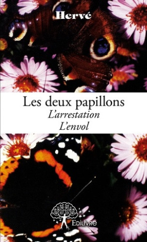 herve-les-deux-papillons-l-arrestation-l-envol_0