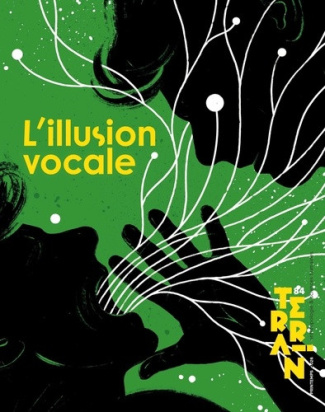 hirtzel-vincent-stoichita-victor-alexandre-vap-terrain-84-l-illusion-vocale_0