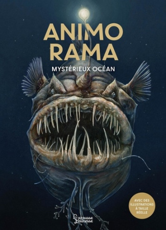 holger-haag-lars-baus-animo-rama-mysterieux-ocean_0