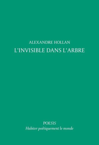hollan-alexandre-l-invisible-dans-l-arbre_0