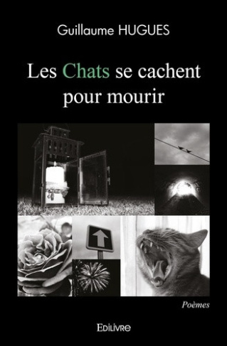hugues-guillaume-les-chats-se-cachent-pour-mourir_0