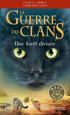 hunter-erin-la-guerre-des-clans-cycle-v-l-aube-des-clans-tome-5-une-foret-divisee_0