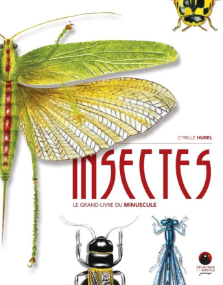 hurel-cyrille-insectes-le-grand-livre-du-minuscule-le-grand-livre-du-minuscule_0