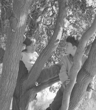 immele-anne-3b-bailly-jean-christophe-3b-maury-corin-jardins-du-riesthal_0