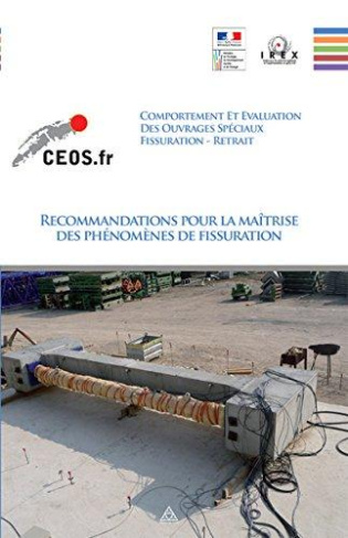 irex-recommandations-pour-la-maitrise-des-phenomenes-de-fissuration-comportement-et-evaluation-des-ouvra_0