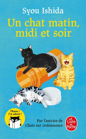 Un chat matin, midi et soir
