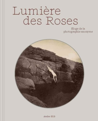 jacquier-lumiere-des-roses_0