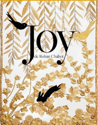 jansen-eric-joy-joy-de-rohan-chabot-par-eric-jansen_0