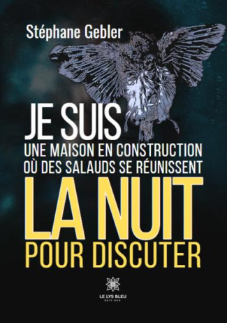 je-suis-une-maison-en-construction-ou-des-salauds-se-reunissent-la-nuit-pour-discuter_0