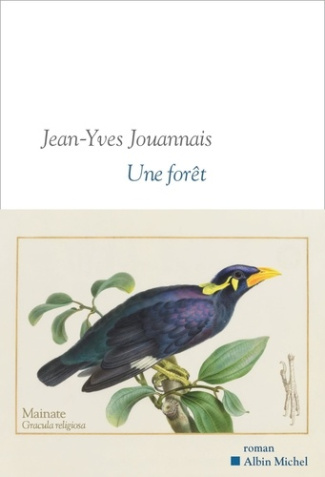 jouannais-jean-yves-une-foret_0