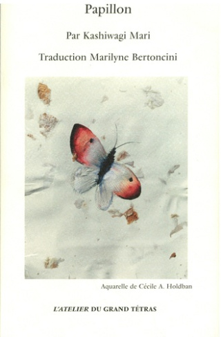 kashiwagi-mari-papillon_0
