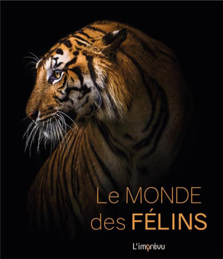 Félins. Espèces, mode de vie, comportement