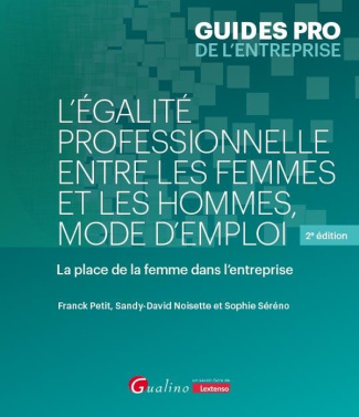 l-egalite-professionnelle-entre-les-femmes-et-les-hommes-mode-d-emploi-la-place-de-la-femme-dans_0
