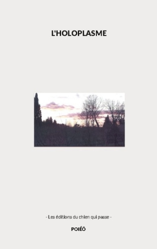 l-holopasme-holoplasme_0