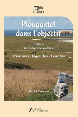 l-yvonnet-michele-plougastel-dans-l-objectif-tome-3-les-secrets-de-la-steppe_0
