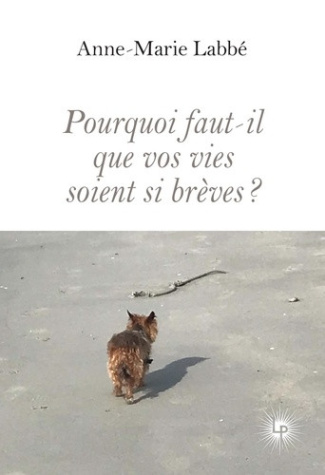 labbe-anne-marie-pourquoi-faut-il-que-vos-vies-soient-si-breves_0