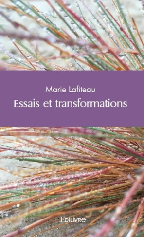 lafiteau-marie-essais-et-transformations_0