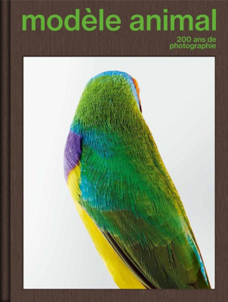 lavoie-vincent-coccia-emanuele-herschdorfer-na-le-modele-animal-200-ans-de-representation-photographique_0