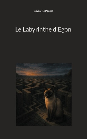 le-labyrinthe-d-egon_0