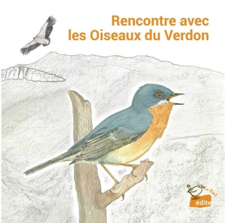 le-piaf-rencontre-avec-les-oiseaux-du-verdon_0