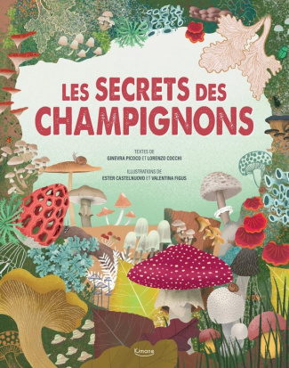 le-secret-des-champignons_0