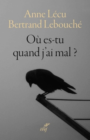 lecu-anne-lebouche-bertrand-ou-es-tu-quand-j-ai-mal-nouvelle-edition_0
