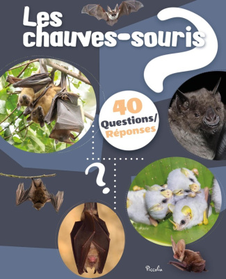 les-chauve-souris_0