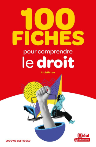 lestideau-ludovic-100-fiches-pour-comprendre-le-droit_0