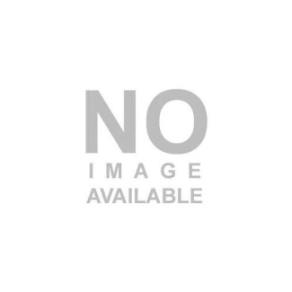 lezama-lima-jose-paradiso_0