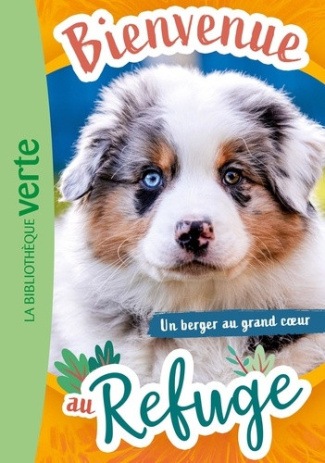 livre-hachette-ruter-pascal-bienvenue-au-refuge-tome-16_0