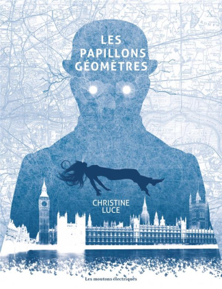 luce-christine-les-papillons-geometres_0