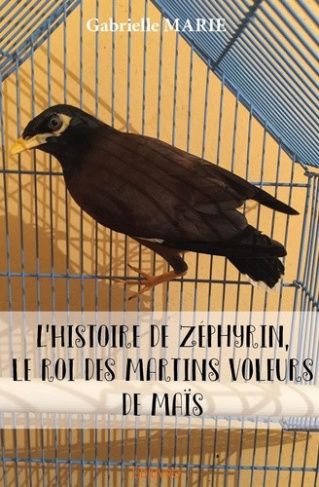 marie-gabrielle-l-histoire-de-zephyrin-le-roi-des-martins-voleurs-de-mais_0