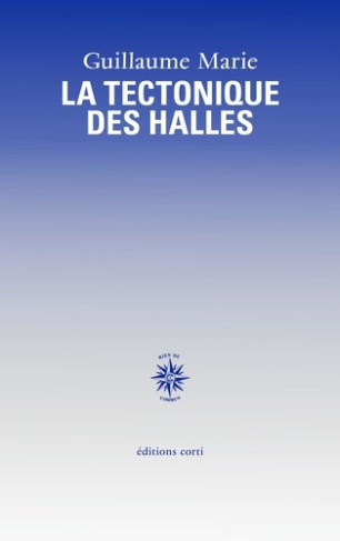 marie-guillaume-la-tectonique-des-halles_0