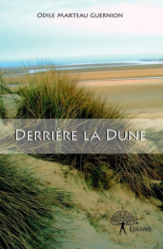 marteau-guernion-odile-une-enquete-d-anna-le-goff-derriere-la-dune_0